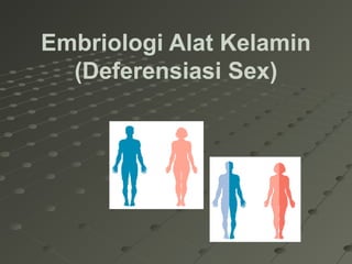 Embriologi Alat Kelamin
(Deferensiasi Sex)
 