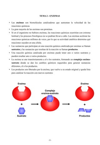 -1-
TEMA 2 - ENZIMAS
• Las enzimas son biomoléculas catalizadoras que aumentan la velocidad de las
reacciones químicas.
• La gran mayoría de las enzimas son proteínas.
• Si en el organismo no hubiera enzimas, las reacciones químicas ocurrirían con extrema
lentitud y los procesos fisiológicos no se podrían llevar a cabo. Las enzimas aceleran las
reacciones químicas millones de veces, por lo que su actividad catalítica determina qué
reacciones suceden en una célula.
• Las sustancias que participan en una reacción química catalizada por enzimas se llaman
sustratos y las sustancias que resultan de la reacción se llaman productos.
• Una reacción química catalizada por enzimas puede tener uno o varios sustratos y
pueden resultar uno o varios productos.
• La enzima se une transitoriamente a el o los sustratos, formando un complejo enzima-
sustrato donde se dan los cambios químicos requeridos para generar sustancias
diferentes, el o los productos.
• Los productos son liberados por la enzima, que vuelve a su estado original y queda lista
para catalizar la reacción con nuevos sustratos
Enzima
Sustrato
+
Complejo
enzima-sustrato
Enzima
Productos
+
 