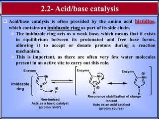 02- Enzymes structure and function.pptx