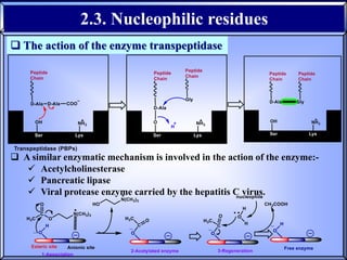 02- Enzymes structure and function.pptx