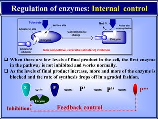 02- Enzymes structure and function.pptx