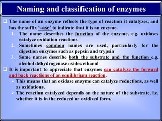 02- Enzymes structure and function.pptx