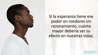 Si la esperanza tiene ese
poder en roedores sin
razonamiento, cuánto
mayor debería ser su
efecto en nuestras vidas.
 