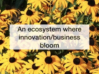 An ecosystem where
innovation/business
bloom
 