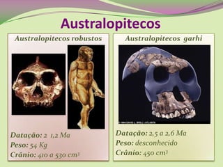 Australopitecos garhi
Datação: 2,5 a 2,6 Ma
Peso: desconhecido
Crânio: 450 cm3
Australopitecos
Australopitecos robustos
Datação: 2 1,2 Ma
Peso: 54 Kg
Crânio: 410 a 530 cm3
 