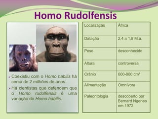  Coexistiu com o Homo habilis há
cerca de 2 milhões de anos.
 Há cientistas que defendem que
o Homo rudolfensis é uma
variação do Homo habilis.
Homo Rudolfensis
Localização África
Datação 2,4 a 1,8 M.a.
Peso desconhecido
Altura controversa
Crânio 600-800 cm³
Alimentação Omnívora
Paleontologia descoberto por
Bernard Ngeneo
em 1972
 