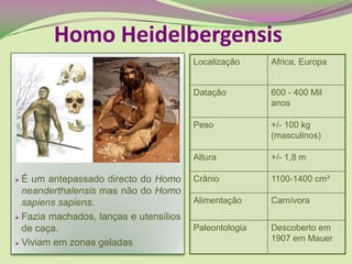  É um antepassado directo do Homo
neanderthalensis mas não do Homo
sapiens sapiens.
 Fazia machados, lanças e utensílios
de caça.
 Viviam em zonas geladas
Homo Heidelbergensis
Localização Africa, Europa
Datação 600 - 400 Mil
anos
Peso +/- 100 kg
(masculinos)
Altura +/- 1,8 m
Crânio 1100-1400 cm³
Alimentação Carnívora
Paleontologia Descoberto em
1907 em Mauer
 
