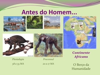 Antes do Homem...
Continente
Africano
O Berço da
Humanidade
Plesiadapis
58 a 55 MA
Proconsul
20 a 17 MA
 