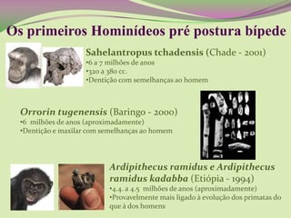 Os primeiros Hominídeos pré postura bípede
Sahelantropus tchadensis (Chade - 2001)
•6 a 7 milhões de anos
•320 a 380 cc.
•Dentição com semelhanças ao homem
Orrorin tugenensis (Baringo - 2000)
•6 milhões de anos (aproximadamente)
•Dentição e maxilar com semelhanças ao homem
Ardipithecus ramidus e Ardipithecus
ramidus kadabba (Etiópia - 1994)
•4.4. a 4.5 milhões de anos (aproximadamente)
•Provavelmente mais ligado à evolução dos primatas do
que à dos homens
 