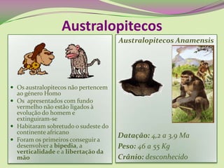  Os australopitecos não pertencem
ao género Homo
 Os apresentados com fundo
vermelho não estão ligados à
evolução do homem e
extinguiram-se
 Habitaram sobretudo o sudeste do
continente africano
 Foram os primeiros conseguir a
desenvolver a bipedia, a
verticalidade e a libertação da
mão
Australopitecos
Australopitecos Anamensis
Datação: 4,2 a 3,9 Ma
Peso: 46 a 55 Kg
Crânio: desconhecido
 