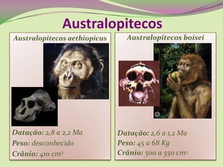 Australopitecos boisei
Datação: 2,6 a 1,2 Ma
Peso: 45 a 68 Kg
Crânio: 500 a 550 cm3
Australopitecos
Australopitecos aethiopicus
Datação: 2,8 a 2,2 Ma
Peso: desconhecido
Crânio: 410 cm3
 