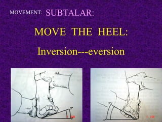 02- EXAMINATION OF THE FOOT AND ANKLE1.pdf
