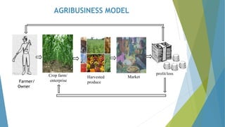 AGRIBUSINESS MODEL
Farmer/
Owner
Crop farm/
enterprise
Harvested
produce
Market
profit/loss
 