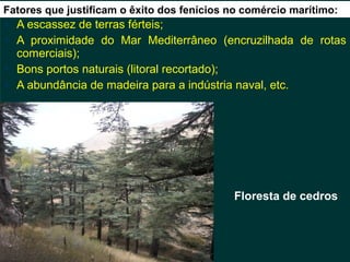 Fatores que justificam o êxito dos fenícios no comércio marítimo:
   A escassez de terras férteis;
   A proximidade do Mar Mediterrâneo (encruzilhada de rotas
    comerciais);
   Bons portos naturais (litoral recortado);
   A abundância de madeira para a indústria naval, etc.




                                            Floresta de cedros
 
