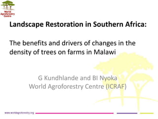 Landscape Restoration in Southern Africa:
The benefits and drivers of changes in the
density of trees on farms in Malawi
G Kundhlande and BI Nyoka
World Agroforestry Centre (ICRAF)
 