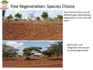 Landscape Restoration in Southern Africa