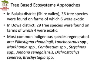 Landscape Restoration in Southern Africa