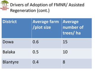 Landscape Restoration in Southern Africa
