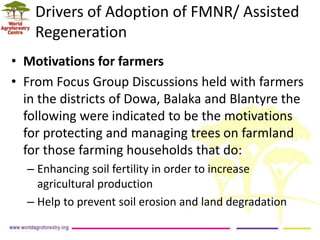 Landscape Restoration in Southern Africa