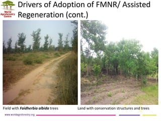 Landscape Restoration in Southern Africa