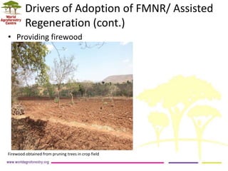 Landscape Restoration in Southern Africa