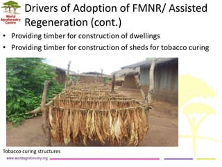 Landscape Restoration in Southern Africa