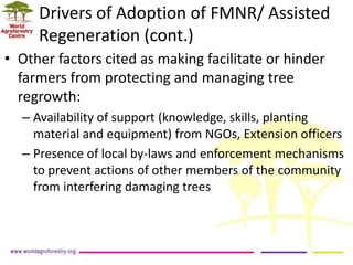 Landscape Restoration in Southern Africa