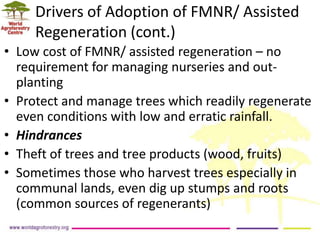 Landscape Restoration in Southern Africa