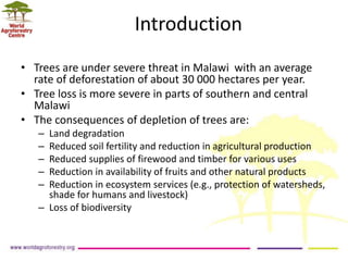 Introduction
• Trees are under severe threat in Malawi with an average
rate of deforestation of about 30 000 hectares per ...
