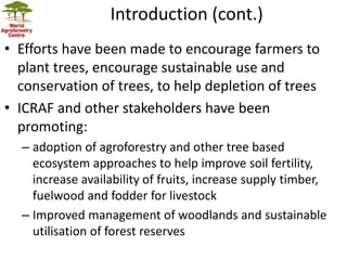 Landscape Restoration in Southern Africa