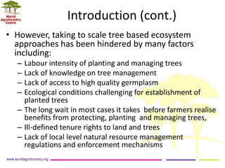 Landscape Restoration in Southern Africa