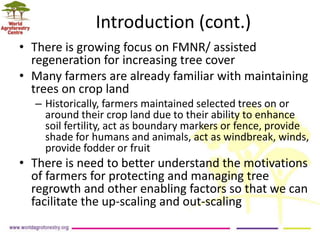 Landscape Restoration in Southern Africa