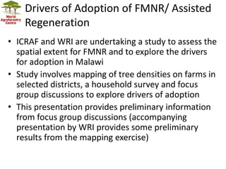 Landscape Restoration in Southern Africa