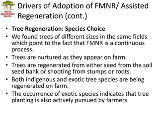Landscape Restoration in Southern Africa