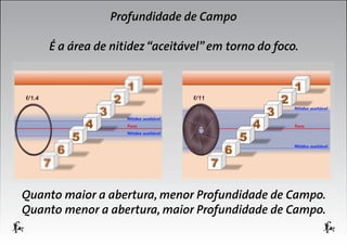 Profundidade de Campo
É a área de nitidez “aceitável” em torno do foco.

Quanto maior a abertura, menor Profundidade de Campo.
Quanto menor a abertura, maior Profundidade de Campo.

 