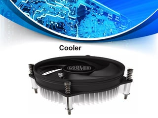 Cooler
 