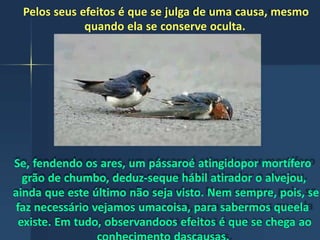Pelos seus efeitos é que se julga de uma causa, mesmo
quando ela se conserve oculta.
Se, fendendo os ares, um pássaroé atingidopor mortífero
grão de chumbo, deduz-seque hábil atirador o alvejou,
ainda que este último não seja visto. Nem sempre, pois, se
faz necessário vejamos umacoisa, para sabermos queela
existe. Em tudo, observandoos efeitos é que se chega ao
 