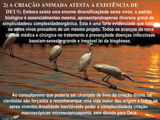 2) A CRIAÇÃO ANIMADA ATESTA A EXISTÊNCIA DE
DEUS: Embora exista uma enorme diversificaçãode seres vivos, o padrão
biológico é essencialmenteo mesmo, apresentandoapenas diversos graus de
simplicidadeou complexidadeorgânica. Esta é uma forte evidênciade que todos
os seres vivos procedem de um mesmo projeto. Todos os avanços da nova
ciência médica e cirúrgica no tratamento e prevençãode doenças infecciosas
baseiam-senesta grande e inegável lei da biogênese.
Ao consultaremo que poderia ser chamado de livro da criação divina, os
cientistas são forçados a reconhecerque uma vida maior deu origem a todos os
seres viventes.Arealidade inevitáveldo poder e complexidadeda criação
macroscópicae microscópicaaponta, sem dúvida para Deus.
 