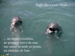 Todo dia existe Deus...
... no regato cristalino,
no pequeno servo do mar,
nas ondas lavando as praias,
na clara luz do luar.
 