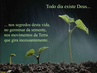 Todo dia existe Deus...
... nos segredos desta vida,
no germinar da semente,
nos movimentos da Terra
que gira incessantemente.
23:42
 