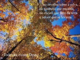 ... no orvalho sobre a relva,
na natureza que encanta,
no cheiro que vem da terra
e no sol que se levanta.
Todo dia existe Deus...
 