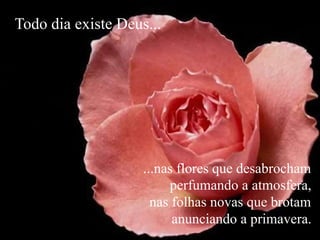 ...nas flores que desabrocham
perfumando a atmosfera,
nas folhas novas que brotam
anunciando a primavera.
Todo dia existe Deus...
 