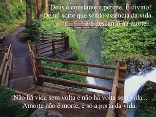 Deus é constante e perene. É divino!
De tal sorte que sendo essência da vida
é o descanso na morte...
Não há vida sem volta e não há volta sem vida...
Amorte não é morte, é só a porta da vida.
 