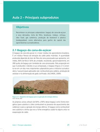 e-Tec Brasil
Aula 2 – Principais subprodutos
Objetivos
Reconhecer os principais subprodutos: bagaço de cana-de-açúcar
e seus derivados, torta de filtro, leveduras, melaço, vinhaça,
óleo fúsel, gás carbônico, produção de bioetanol e plástico
biodegradável, como alternativa para ganho de capital das
agroindústrias sucroalcooleiras.
2.1 Bagaço da cana-de-açúcar
O bagaço da cana-de-açúcar é o maior resíduo da agroindústria brasileira.
É um resíduo fibroso da extração do caldo pelas moendas. A quantidade
produzida depende do teor de fibra da cana processada que apresenta, em
média, 46% de fibra e 50% de umidade, resultando, aproximadamente, em
280 quilos de bagaço por tonelada de cana processada. Pela proporção em
que é produzido e devido à sua composição, o bagaço (Figura 2.1) consti-
tui-se em um dos mais importantes subprodutos para a indústria sucroalco-
oleira. Suas principais aplicações são: combustível para caldeira, produção de
celulose e na alimentação de gado confinado. (ALCARDE, 2009).
Figura 2.1: Depósito de bagaço para co-geração de energia elétrica
Fonte:Alcarde, 2009
As próprias usinas utilizam de 60% a 90% desse bagaço como fonte ener-
gética (para substituir o óleo combustível no processo de aquecimento das
caldeiras) e para a geração de energia elétrica. O bagaço como combustível
veio substituir a lenha que era a fonte energética usada há alguns anos na
evaporação do caldo.
e-Tec Brasil
Aula 2 - Principais subprodutos 21
 
