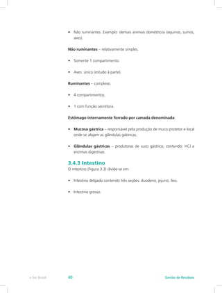 •	 Não ruminantes. Exemplo: demais animais domésticos (equinos, suínos,
aves).
Não ruminantes – relativamente simples.
•	 Somente 1 compartimento.
•	 Aves: único (estudo à parte).
Ruminantes – complexo.
•	 4 compartimentos.
•	 1 com função secretora.
Estômago internamente forrado por camada denominada:
•	 Mucosa gástrica – responsável pela produção de muco protetor e local
onde se alojam as glândulas gástricas.
•	 Glândulas gástricas – produtoras de suco gástrico, contendo: HCl e
enzimas digestivas.
3.4.3 Intestino
O intestino (Figura 3.3) divide-se em:
•	 Intestino delgado contendo três seções: duodeno, jejuno, íleo.
•	 Intestino grosso.
Gestão de Resíduos
e-Tec Brasil 40
 