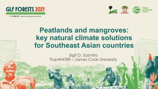 thumbnail of  Peatlands and mangroves: key natural climate solutions for Southeast Asian countries