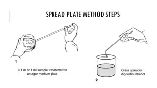 Enumeration Methods 02-Growth_Bacterial Enumeration Methods_JO_FC.pdf
