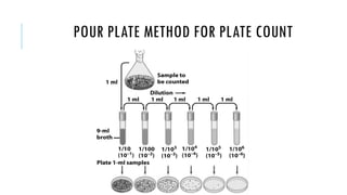 Enumeration Methods 02-Growth_Bacterial Enumeration Methods_JO_FC.pdf