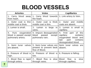 BLOOD VESSELS
7
 