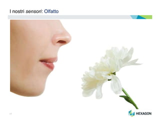 17
I nostri sensori: Olfatto
 